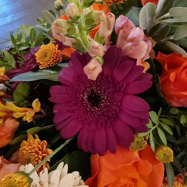 Nærbilde av fargerik bukett med lilla gerbera, oransje roser og små krysantemum.